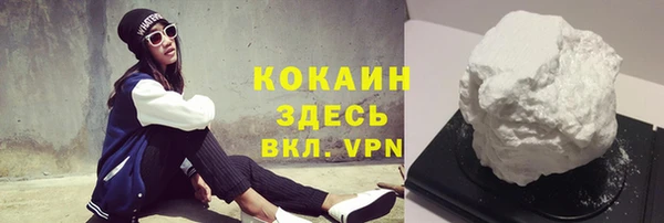 твердый Алексин