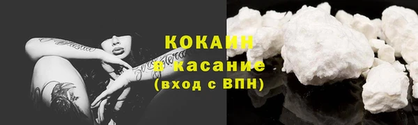 твердый Алексин