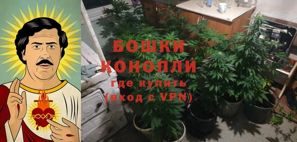 спайс Алзамай