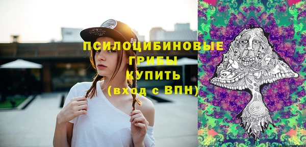 твердый Алексин