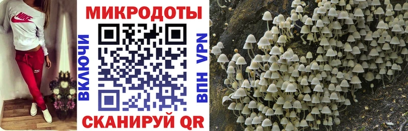 Псилоцибиновые грибы Cubensis  Зея 